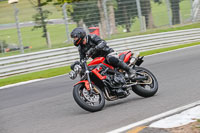 Middle 1 Group Orange Bikes